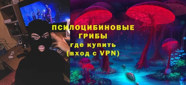 ГАЛЛЮЦИНОГЕННЫЕ ГРИБЫ Магас