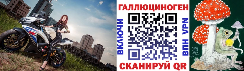 наркота  Тюмень  Псилоцибиновые грибы мицелий 