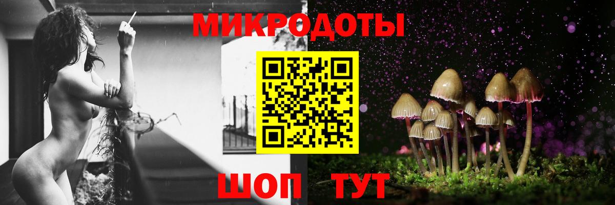 Тюмень  Псилоцибиновые грибы Cubensis  Вход с VPN  Псилоцибиновые грибы Psilocybe 